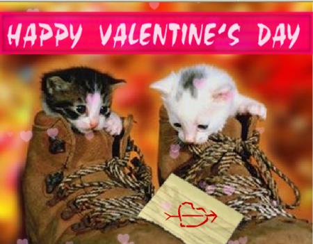 ___��__POUR TOUS LES AMIS___��____